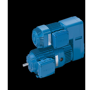 FG ΢����ĸ늙C