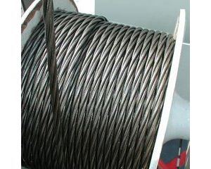 ������䓽z�K�Ę�(g��u)��M�ɼ�e