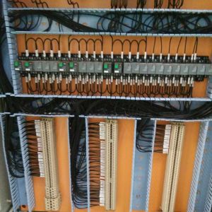 2018010156  QZ5T�D11