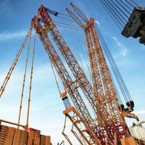 ͨ�|���طN�O(sh��)��z�(y��n)����Ɍ����ֹ����������O(sh��)�䌣�(xi��ng)�z�(y��n)����