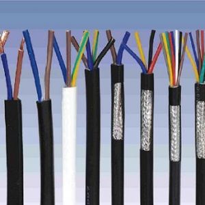 ������|����|���N��е�һ�N��ʲô�ǿ�����|��